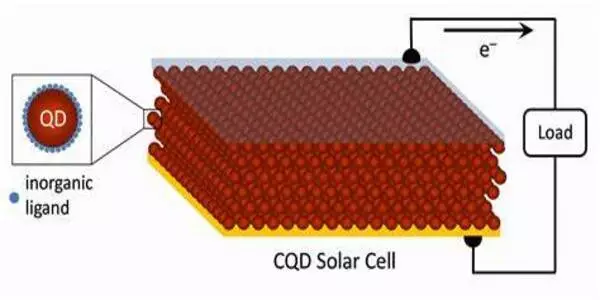 Imaging shows how solar-powered microbes turn CO2 into bioplastic