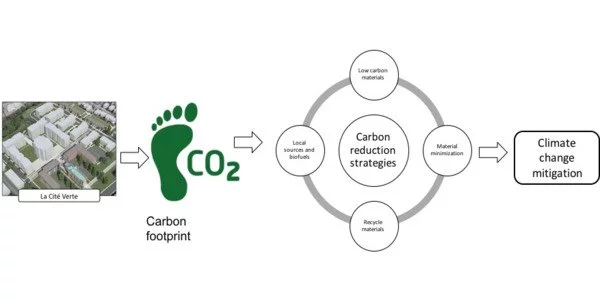 Researchers calculate economic value of temporary carbon reduction with 'Social Value of Offsets' formula