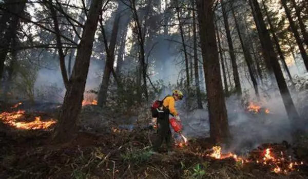 Research supports use of managed and prescribed fires to reduce fire severity