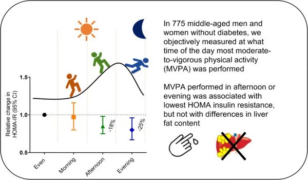 Study shows morning and afternoon slightly better than evening physical activity for diabetes prevention