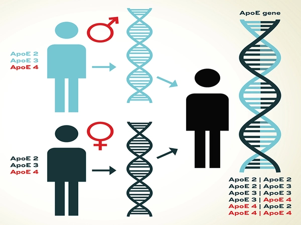 Genetic vulnerability to ADHD signals risk of Alzheimer's disease in old age