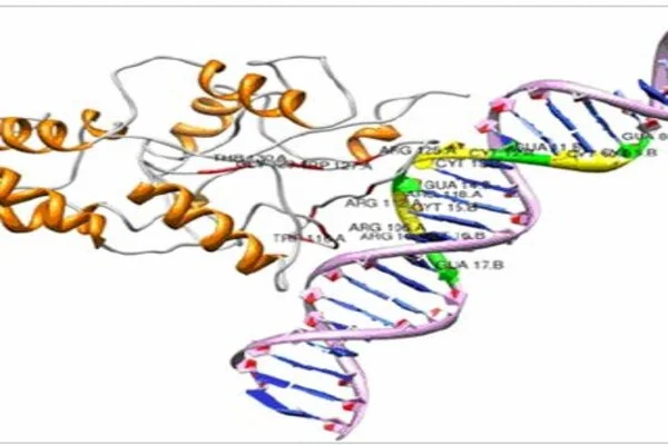 Nanopore sequencing and DNA barcoding method gives hope of personalized medicine