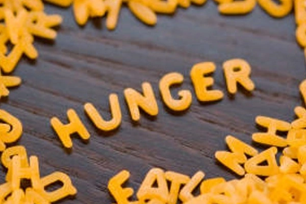 Hunger hormones impact decision-making brain area to drive behavior