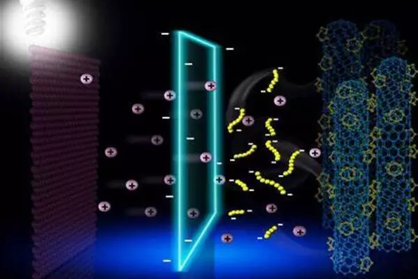 Revolutionizing energy storage: Metal nanoclusters for stable lithium--sulfur batteries