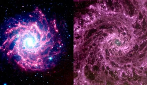 Ghostlike dusty galaxy reappears in James Webb Space Telescope image