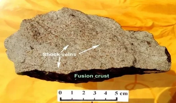 Ryugu samples illuminate terrestrial weathering effects on primitive meteorites
