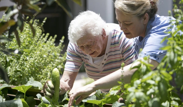 Better mental, physical health in older people tied to living near nature